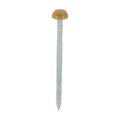 40mm oak uPVC Poly Top Nail stainless steel